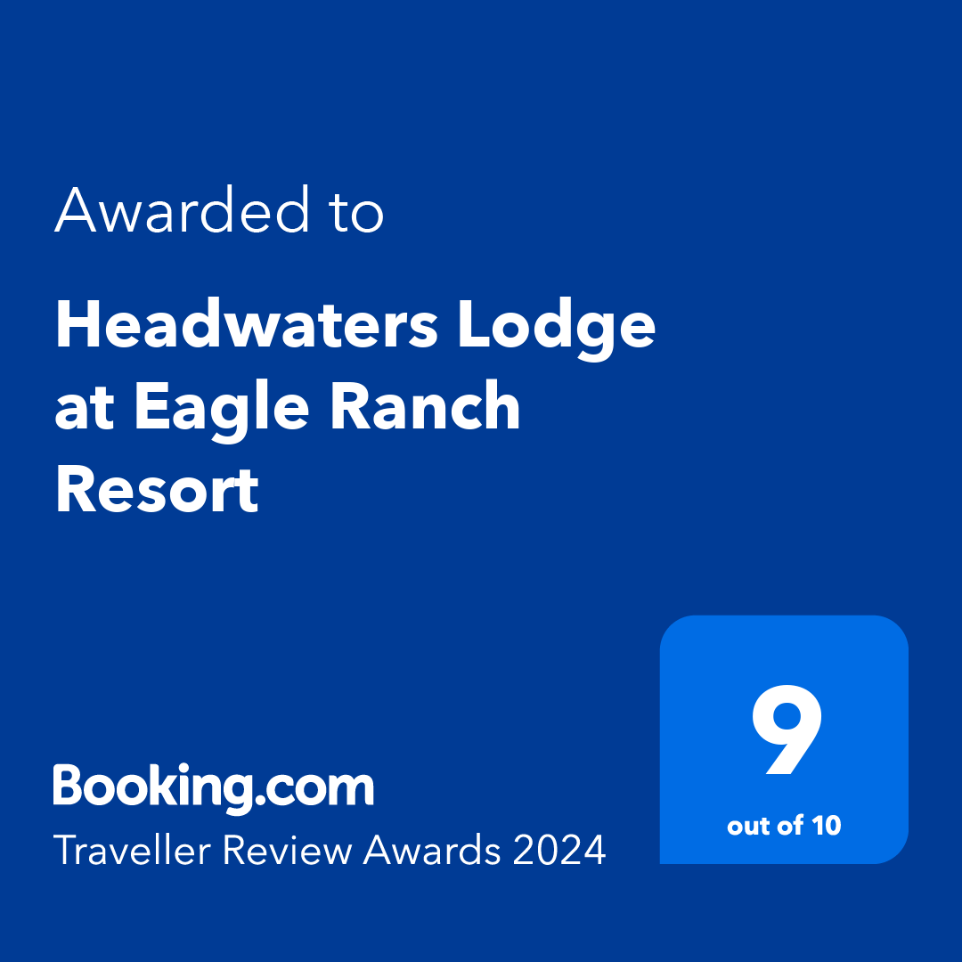 award_bookingDOTcom_travellerReviewAward_2024